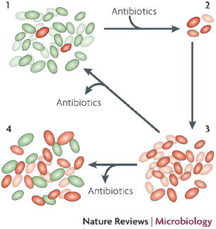 nrmicro1796-f3.jpg