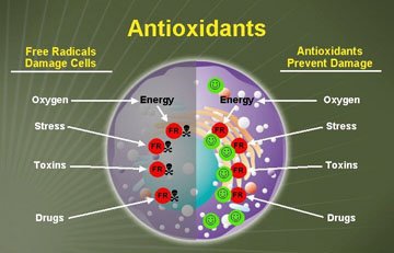 Image result for images of antioxidants